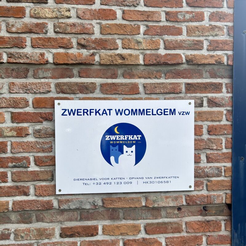 Association Zwerfkat Wommelgem<br>